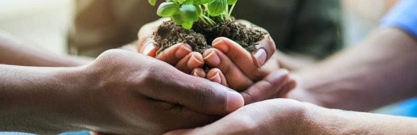 Hands Holding Plant